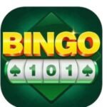 Bingo 101
