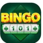 Bingo 101