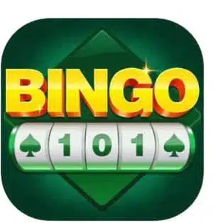 Bingo 101 App